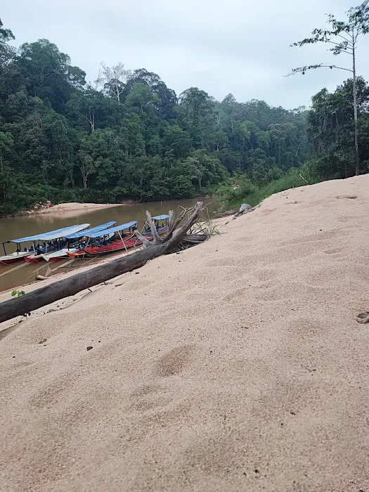 Danz Eco Resort Jetty Picture 4