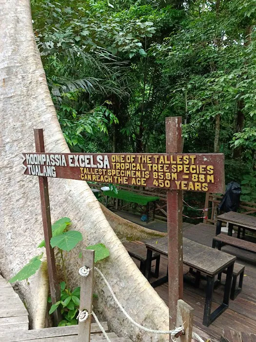 Danz Eco Resort Picture 8