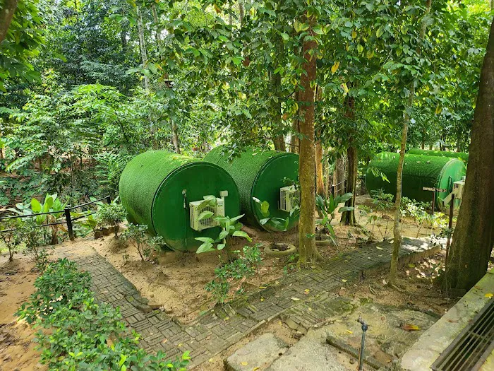 Danz Eco Resort Picture 5