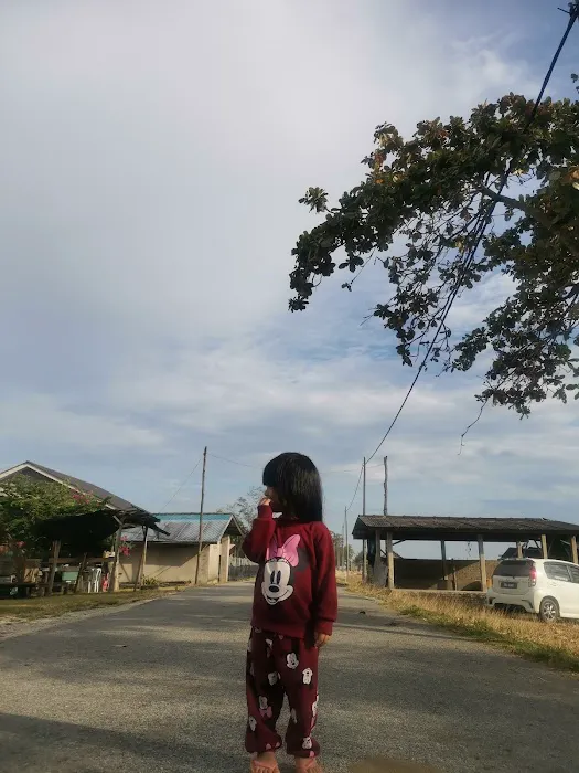 Haji Rani Homestay Picture 5