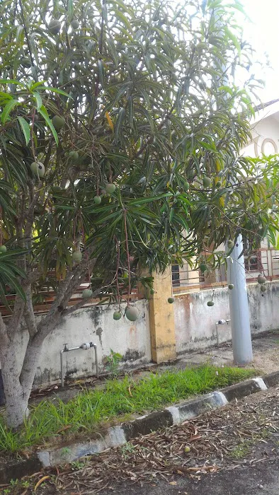 Homestay Teluk Intan Tok Perak db Picture 4