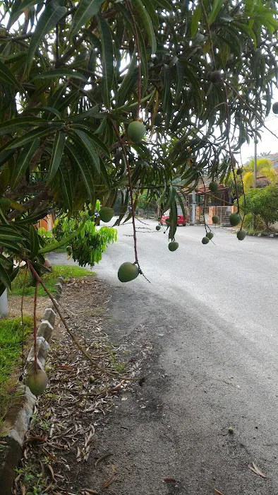 Homestay Teluk Intan Tok Perak db Picture 10