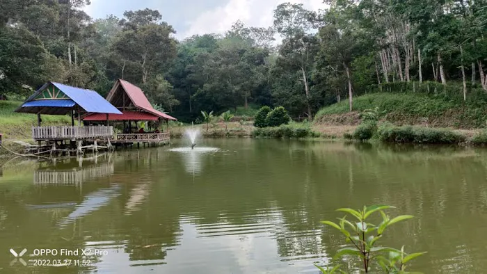YL Durian Manor Picture 1
