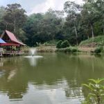 YL Durian Manor