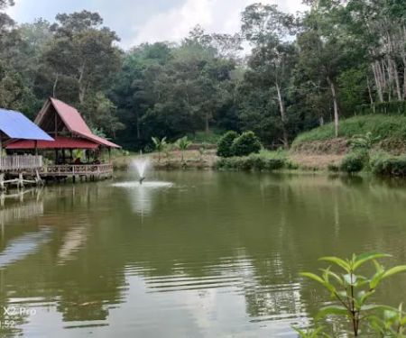 YL Durian Manor