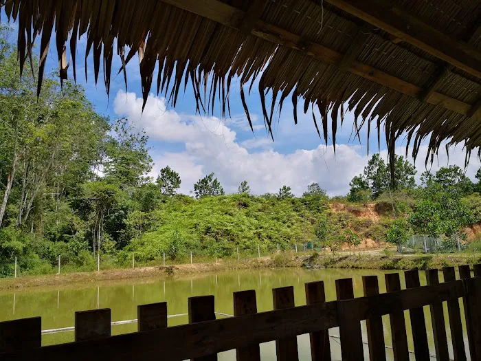 YL Durian Manor Picture 7