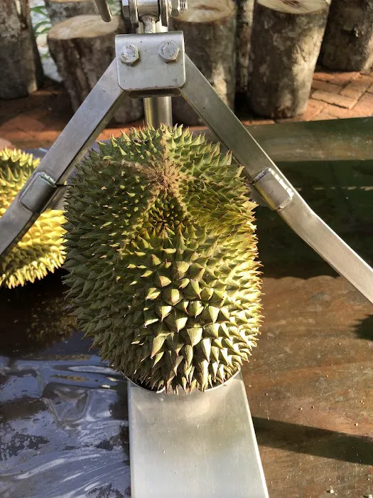 YL Durian Manor Picture 8