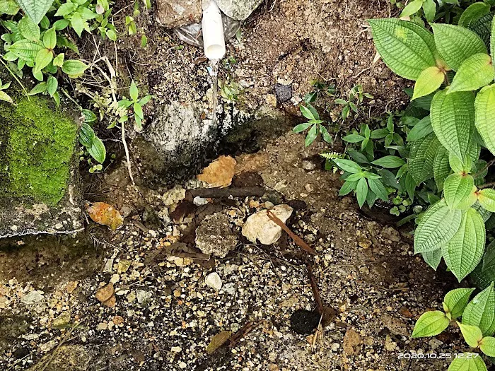 Ulu Langat Tekali Spring Picture 3