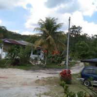 Anak sulub ico