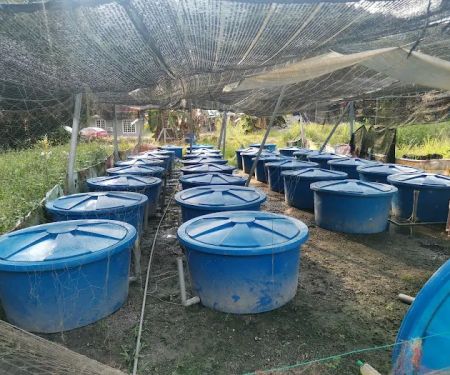 LE AQUA BREEDER