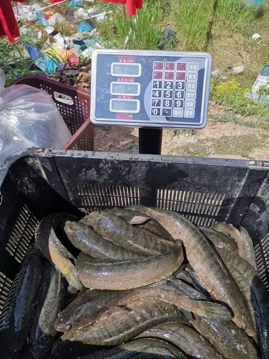 LE AQUA BREEDER Picture 8