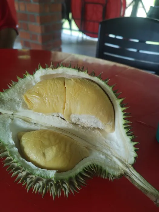 Dusun Akin Resort Picture 7