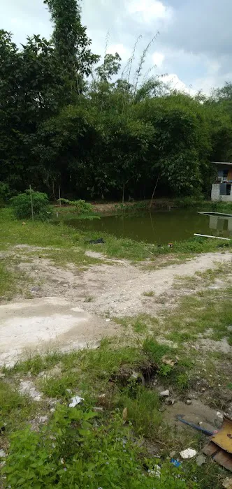 Kolam ikan kb Picture 9