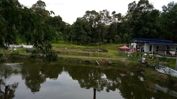 Kolam ikan kb Picture 7