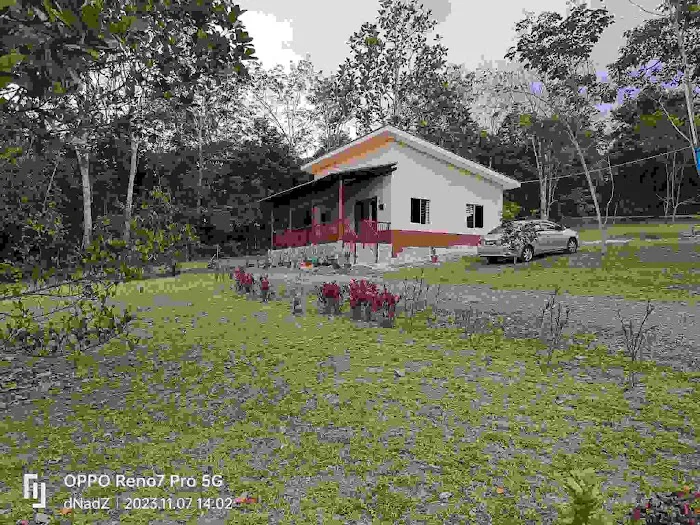 NH Homestay Picture 1