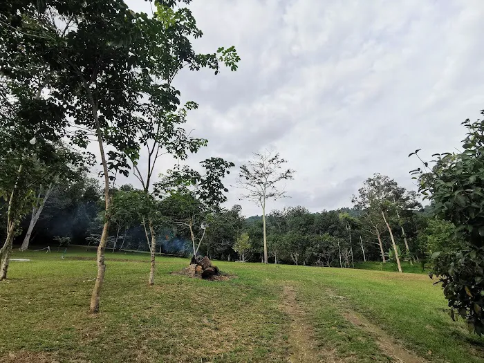 NH Homestay Picture 5