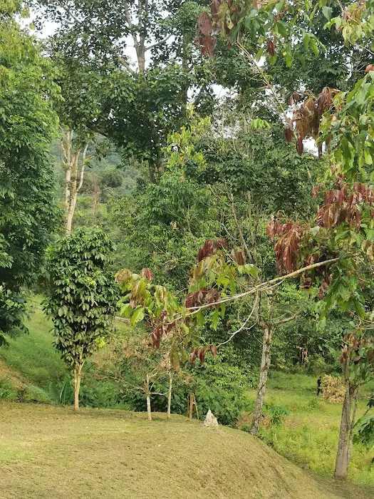NH Homestay Picture 9