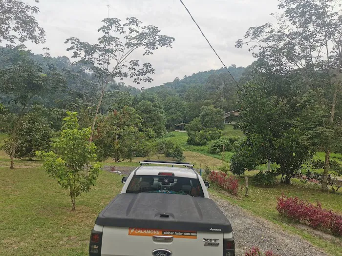 NH Homestay Picture 7