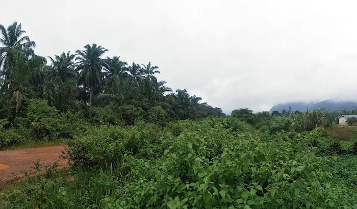 Kampung PPMS Kesedar Sejahtera Picture 1