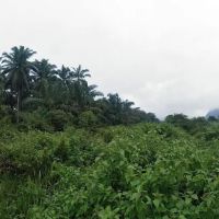 Kampung PPMS Kesedar Sejahtera ico
