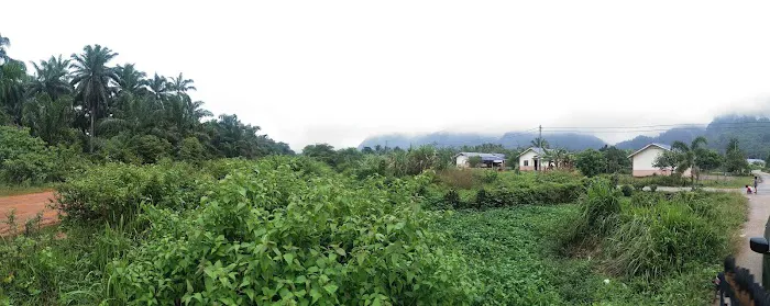 Kampung PPMS Kesedar Sejahtera Picture 7