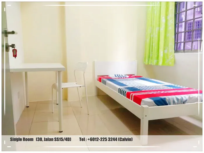 The Roomie Hostel Picture 10