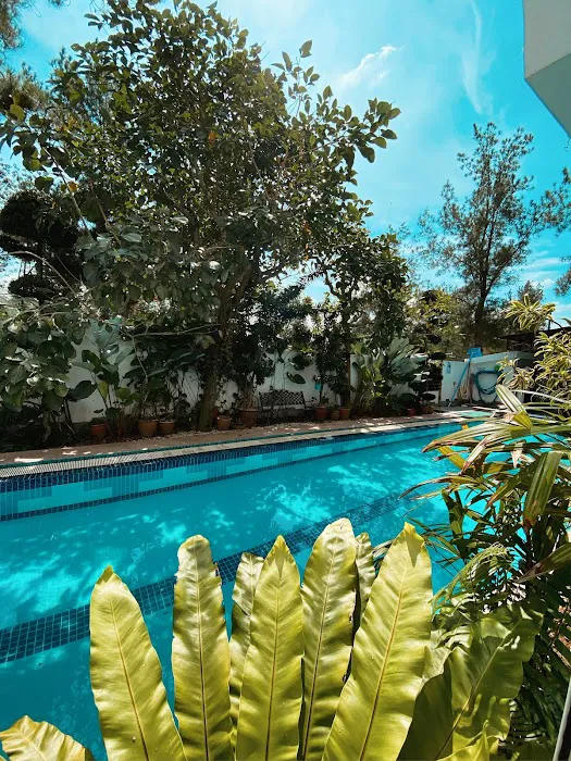 La Quinta Haven Villa Picture 3