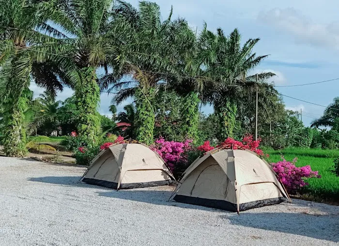 'House Legend' Camp Site & Chalet Picture 2