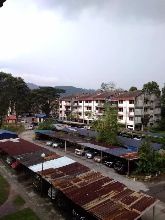 Kelumpuk Kenari 'A' Picture 8