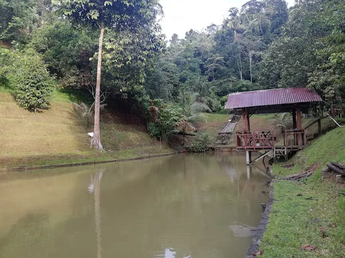 Puncak Nanding Homestay Picture 2