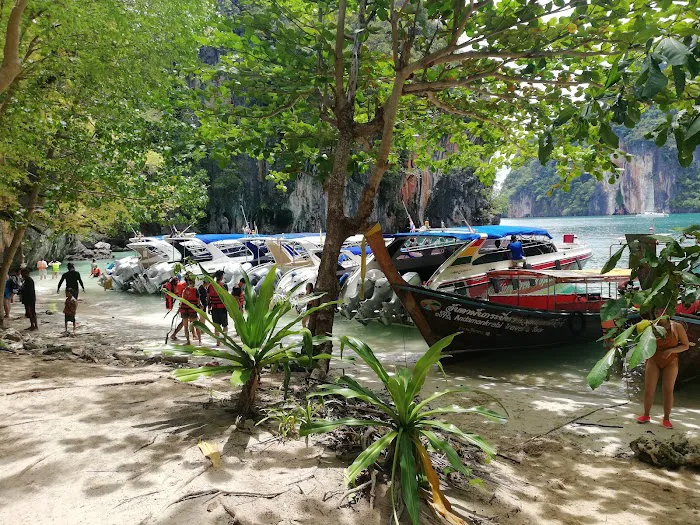 Shamvilla Homestay New Picture 3
