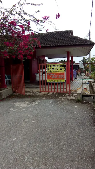 D' Temerloh Homestay Picture 8