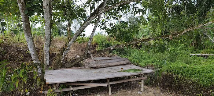 Lemongrass Field Homestay Picture 4