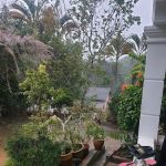 Felda Kemasul
