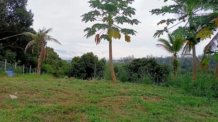 Unggun @ Dusun Trolak Picture 10