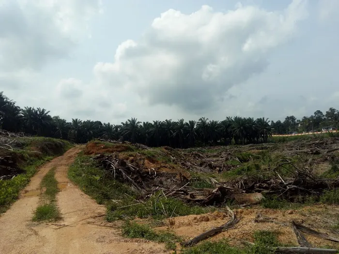Trolak Country Resort Picture 4