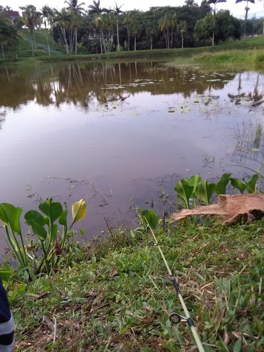 Trolak Country Resort Picture 10