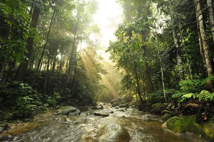 Tanah Desa Kelana Picture 1