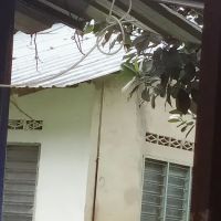 Pache house ico