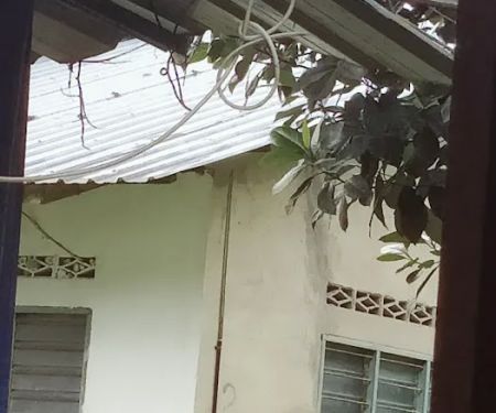 Pache house