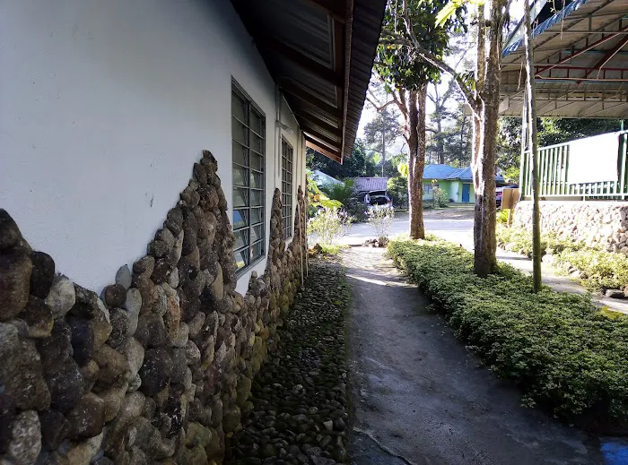 Damai Chalet Kg Sahom Picture 8