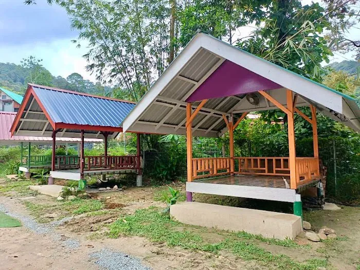 NAKHODA RIMBA ULU YAM Picture 1