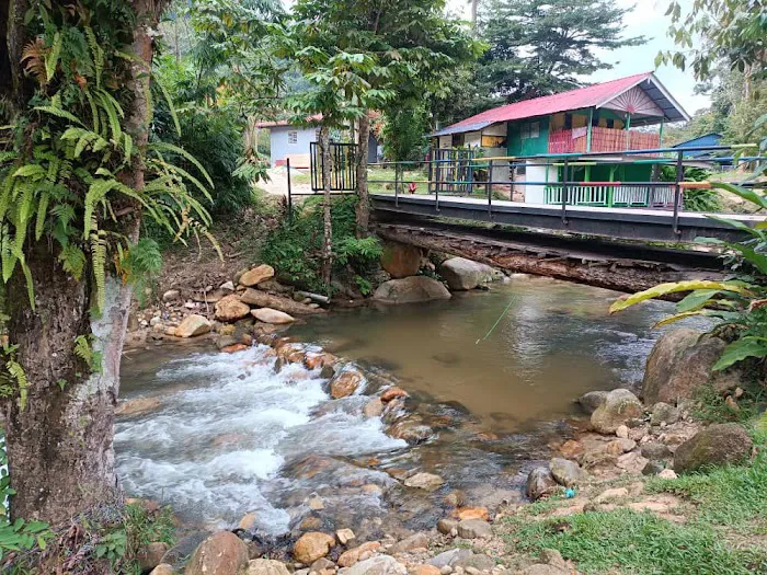 NAKHODA RIMBA ULU YAM Picture 2