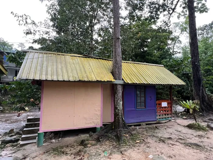 NAKHODA RIMBA ULU YAM Picture 8