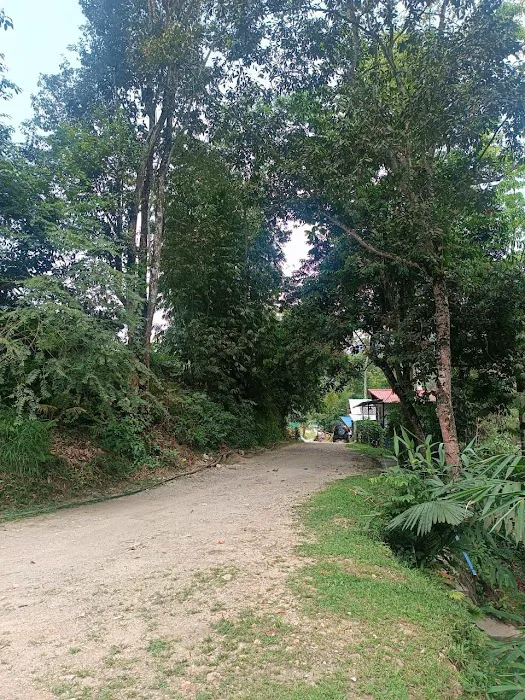 NAKHODA RIMBA ULU YAM Picture 4