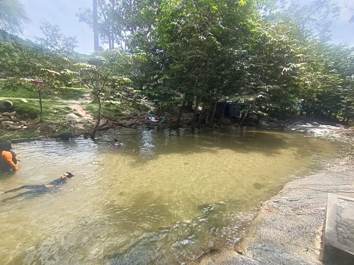 NAKHODA RIMBA ULU YAM Picture 7