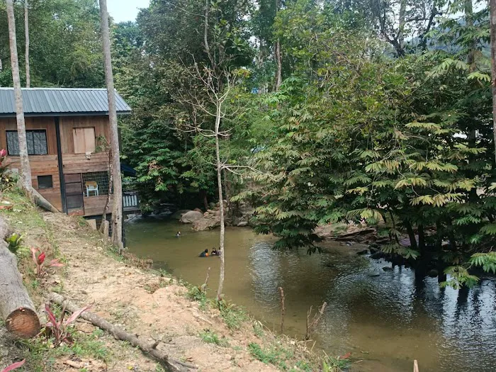 NAKHODA RIMBA ULU YAM Picture 9