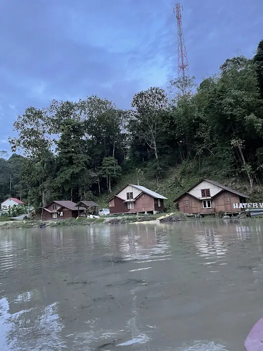 Nur Laman Bestari Eco Resort Picture 5