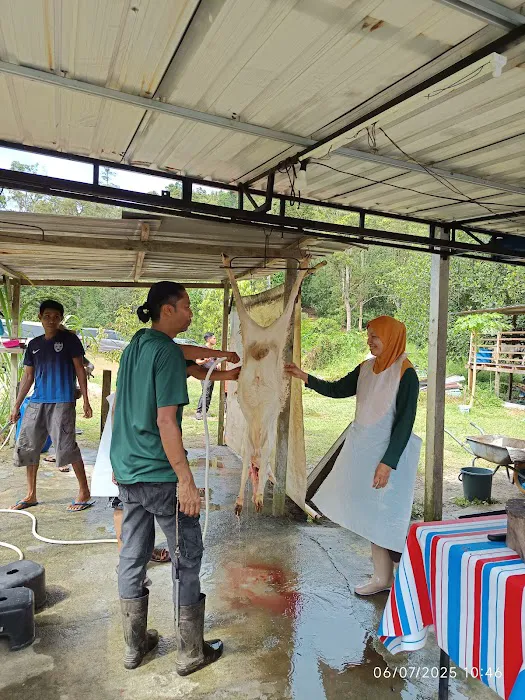 AFdhal Farm Picture 1