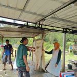 AFdhal Farm